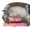 Ya no
todos o