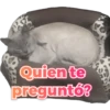 Quien te
preguntó?