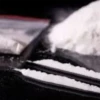Cocaína ️ Doña blanca 5