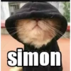 simon