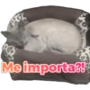 PAL
Me importa?!