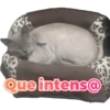 PREL
Que intens@