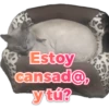 Estoy
cansad@,
y tú?