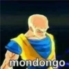 mondongo