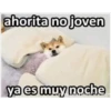 12.2 Cansado Dor Desvelo - 6