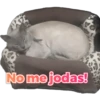 KEL
No me jodas!