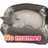 No mames