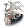 DRAGONES 13