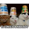 OODLE URRY SOUP Fit AUS Cobee EL CONSEJO A HABLADO