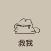 Duck 1 15