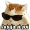 2.10 Lentes d Sol #- 11