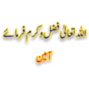 اللہ تعالی فضل و کرم فرماۓ
آمین