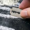 Cocaína ️ Doña blanca 13