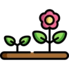 цветы 18