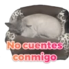 Ro
No cuentes
conmigo
