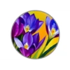 Crocus Flowers 9