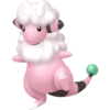 oo