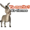 15 Festivo Viernes # 15