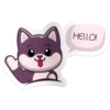 PetsGo.az 10
