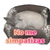 AT
No me
sezkedis