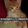 12.2 Cansado Dor Desvelo - 13