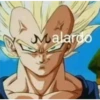 Malardo