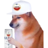 AMSTEL
BIER
ULT
KUROPE
W 2.48 C
85
CALE
AMSTEL
BIER