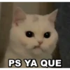 2.8 Ya que Sabe X Broma Yo# 22