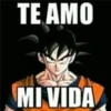 TE AMO MI VIDA