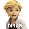 שטויות