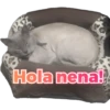 Hola nena!