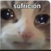 3.1 Triste 27
