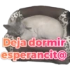 Deja dormir
esperancit@