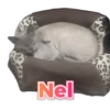 Nel