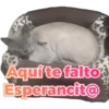 147
Aquí te falto
Esperancit@