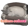 PROT
Callese señora!