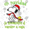 en navidad
Se encuentra el
camino a casa: