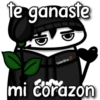 florksita rosas moradas 8