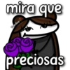 florksita rosas moradas 13