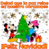 Dejad que la paz reine
en nuestro corazones
ان سا
CIBELMUJCO
¡Feliz Navidad!