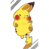 Pokémon(Random)1 17