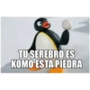 pingu i random 20