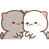 Котята мочиса 21