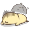 и
wh
"