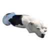 Tucky Moods 5