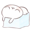 Marshmallow puppies 5