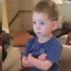 Gavin 4