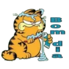 Garfield - Paulinha 6