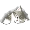 Kittens mofu_sand 2 7