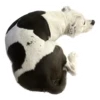 Tucky Moods 8